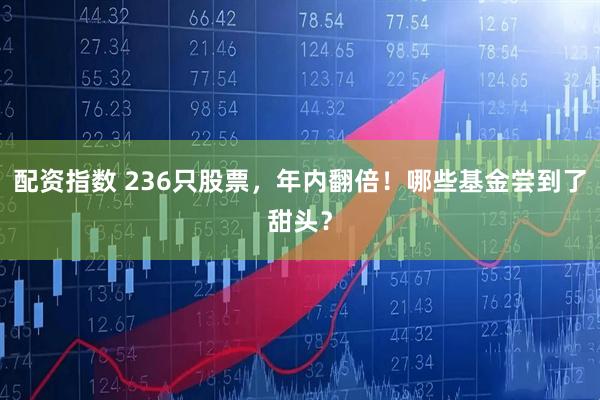 配资指数 236只股票，年内翻倍！哪些基金尝到了甜头？